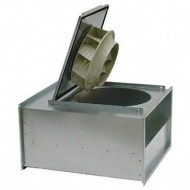 RSI3